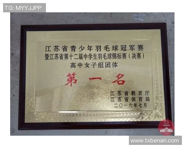 武汉羽毛球队在精英赛中的意识表现分析与总结