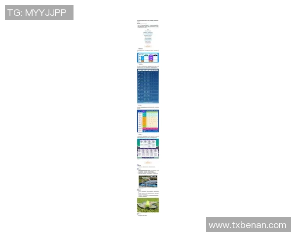 网球意识排行榜揭晓上海网球队荣登第五位引发关注