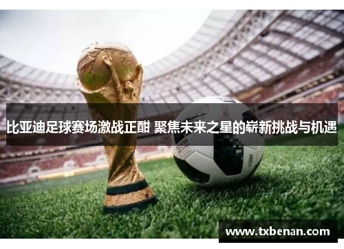 比亚迪足球赛场激战正酣 聚焦未来之星的崭新挑战与机遇